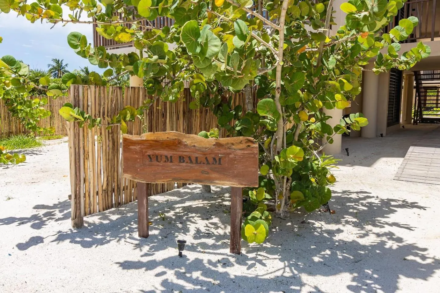 מלון הולבוקס איילנד Ocean View Loft In Punta Cocos - C102 מקסיקו