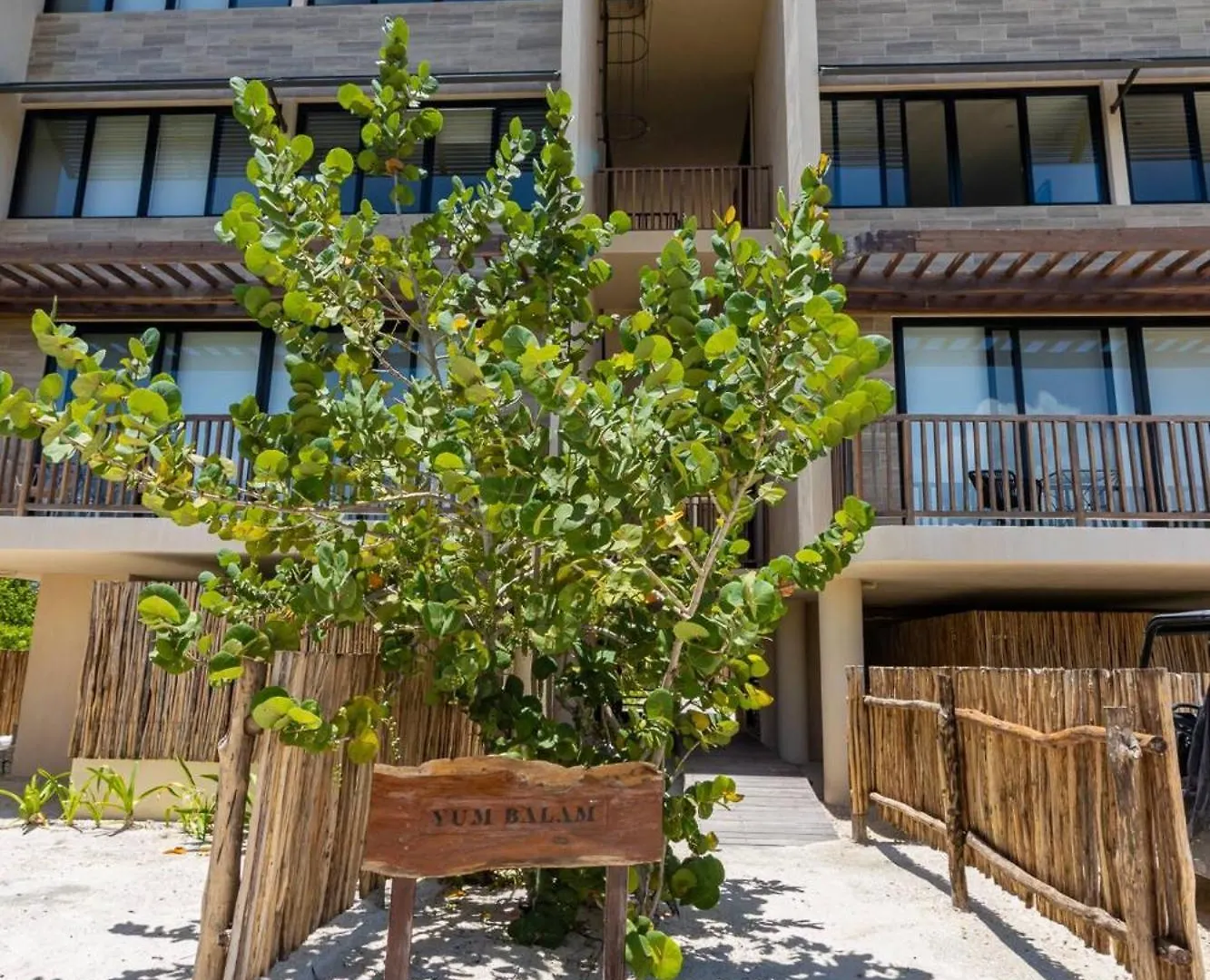 מלון הולבוקס איילנד Ocean View Loft In Punta Cocos - C102 0*,  מקסיקו